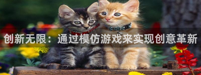 创新无限：通过模仿游戏来实现创意革新