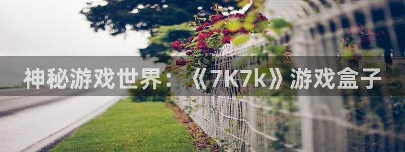 雷火竞技app下载：神秘游戏世界：《7K7k》游戏盒子