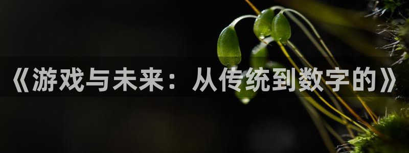 雷火竞技官网：《游戏与未来：从传统到数字的》