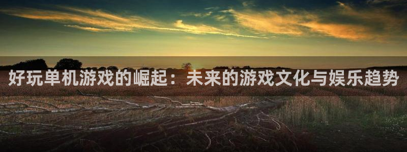 雷火竞技平台在哪