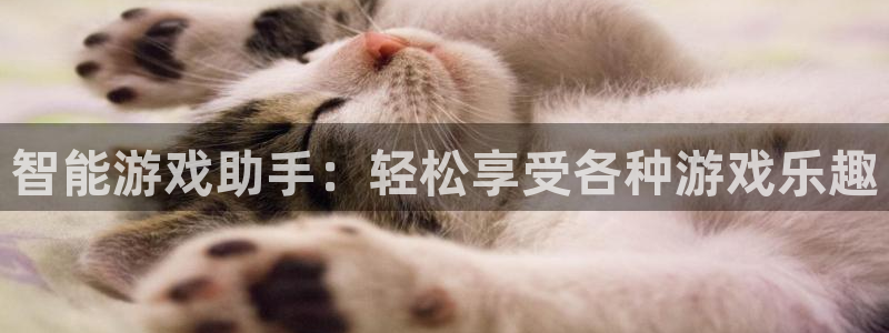 雷火竞技官方网站入口下载苹果：智能游戏助手：轻松享受各种游戏