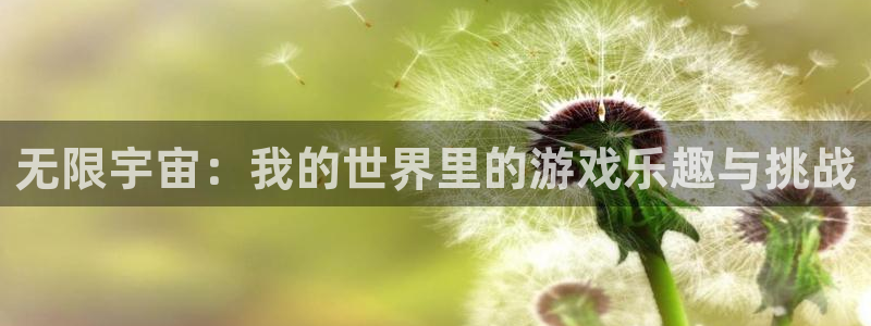 雷火竞技体育：无限宇宙：我的世界里的游戏乐趣与挑战