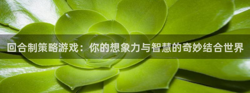 雷火竞技电竞平台网页版登录：回合制策略游戏：你的想象力与智慧