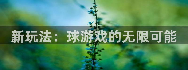 雷火竞技首页官网