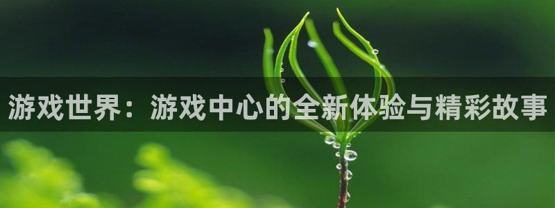 雷火竞技官网app下载安装