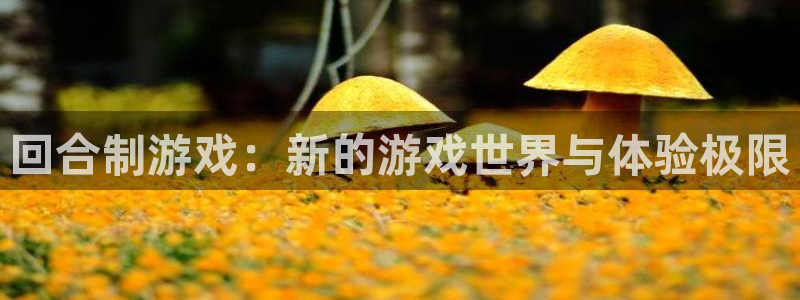 雷火竞技下载官网手机版：回合制游戏：新的游戏世界与体验极限