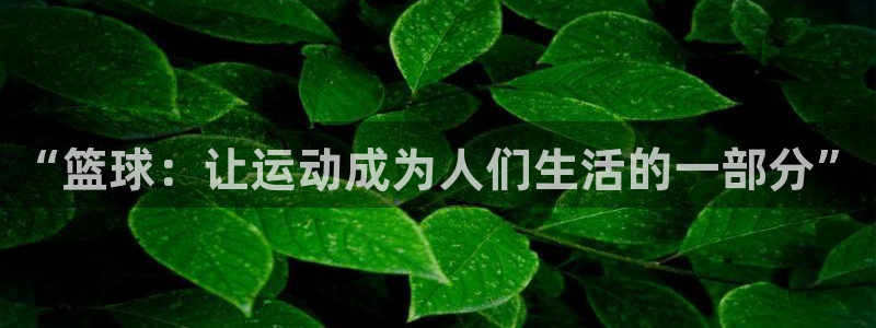 雷火竞技app下载苹果：“篮球：让运动成为人们生活的一部分”
